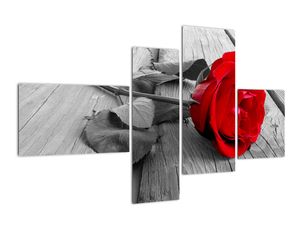 Slika - vrtnica z rdečim cvetom