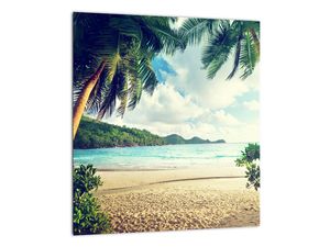 Slika - palme na plaži