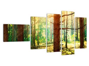 Moderna slika - gozd