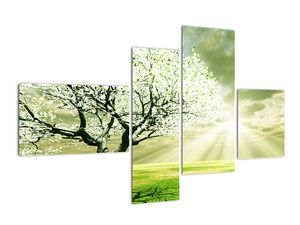 Pomladno drevo - moderne slike