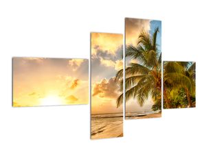 Slika - palme na peščeni plaži
