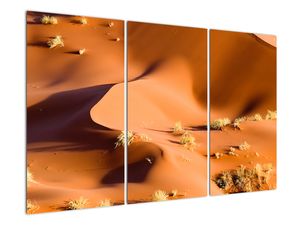 Slika - puščavske sipine