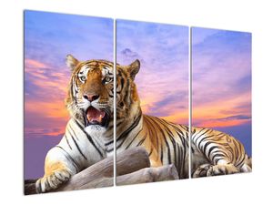Slika - ležeči tiger