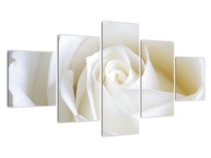 Slika - bele vrtnice