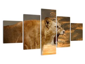 Slika - rjoveči lev