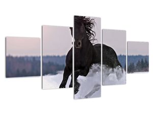 Slika - konji v snegu