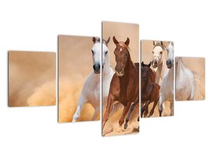 Slike - tekaški konji