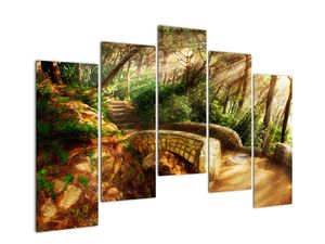 Slika - gozdne poti