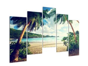 Slika - palme na plaži