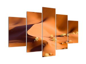 Slika - puščavske sipine