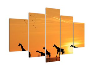 Moderne slike - žirafe