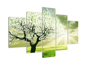 Pomladno drevo - moderne slike