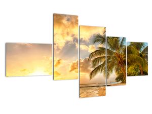 Slika - palme na peščeni plaži