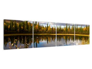 Slika na steni - gozdno jezero
