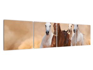 Slike - tekaški konji