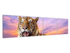 Slika - ležeči tiger