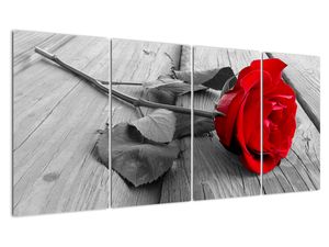 Slika - vrtnica z rdečim cvetom