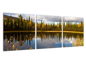 Slika na steni - gozdno jezero