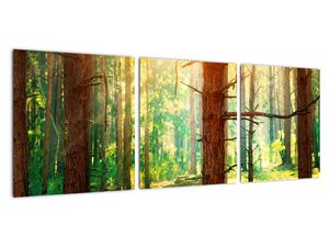 Moderna slika - gozd