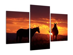 Slika - konji ob sončnem zahodu