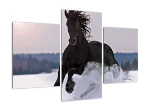 Slika - konji v snegu