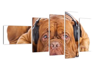 Moderna slika - pes s slušalkami