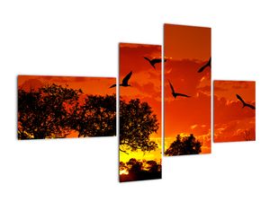 Slika - zahajajoče sonce s pticami