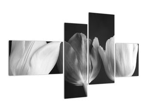 Slika - trije tulipani