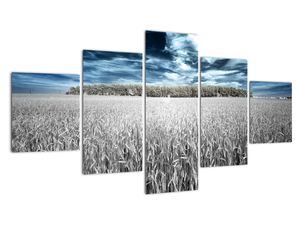 Moderna slika - travnik z žitom