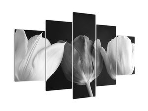Slika - trije tulipani